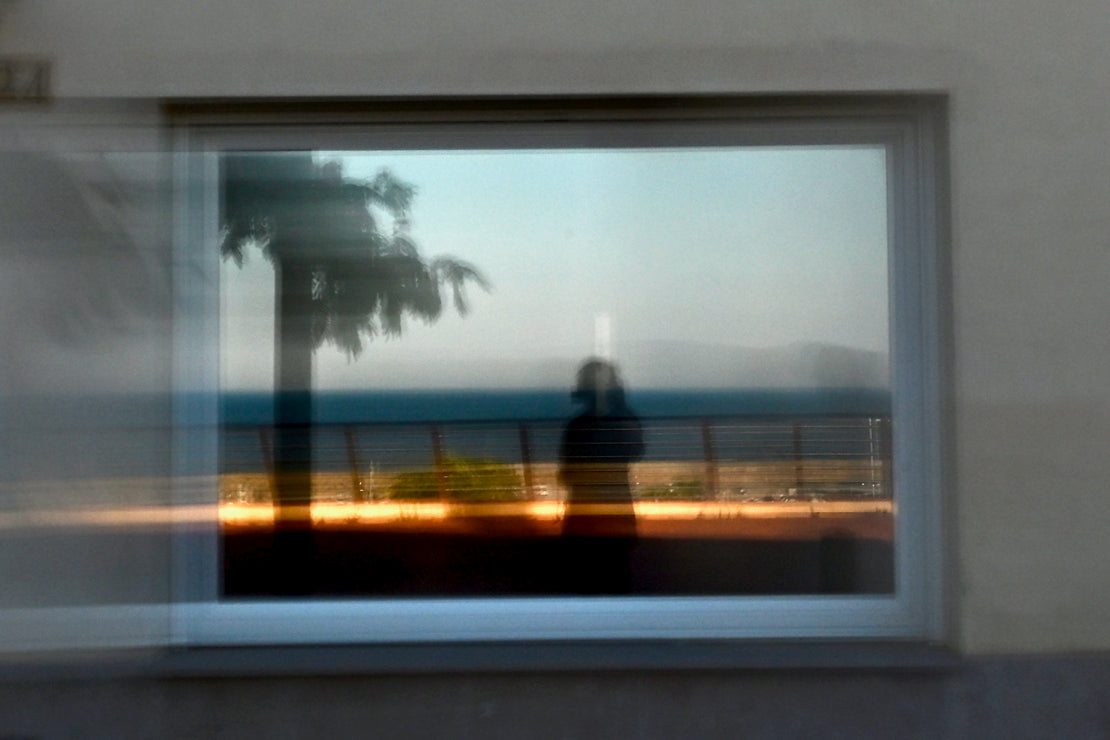 Dani Kiwi Artist 
